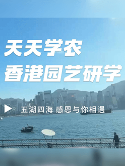 与香港园艺学会联合举办香港园艺研学，专业园境师带队讲解。