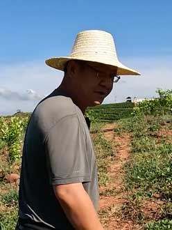 农业人叶涛，50多岁通讯人跨界搞农业，他要用1000万打造一个梦。